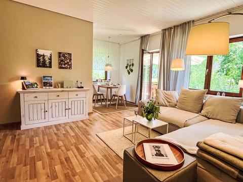 Furniture, Interior Design, Flooring, Floor, Couch, Wood, Room, Living Room, Ceiling, Wood Flooring