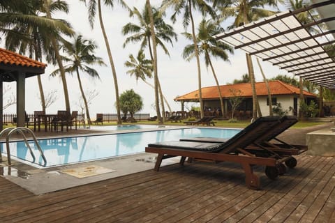 Outdoor pool, sun loungers