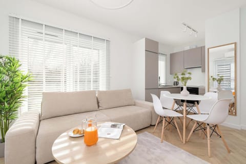 The living room features a fold-out sofa and a coffee table, creating a cozy and practical space. Large windows let in plenty of natural light, giving the room a bright and airy feel.