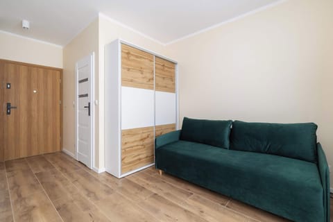 A cozy living room space with a green sofa bed and wooden furniture. A wardrobe and a small hallway are visible in the background.