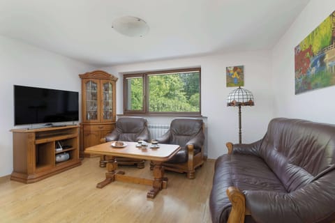 Open and airy lounge featuring a warm wooden ceiling, large sofa, and natural light, perfect for relaxing stays in mountain or countryside homes.