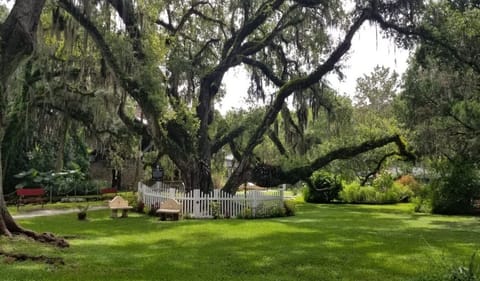 Relaxing outdoor area with tree view
