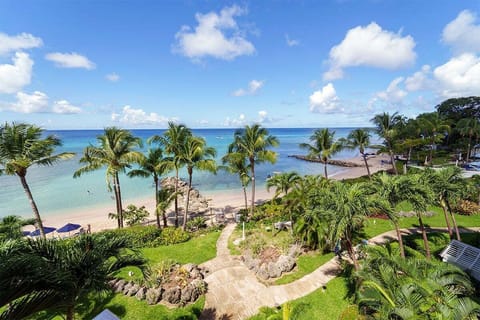Experience the stunning island of Barbados