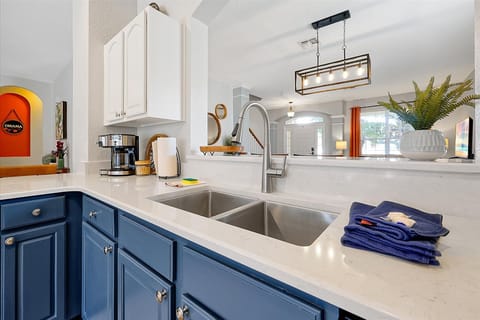 Deep Sink with Pull Down Faucet Handle