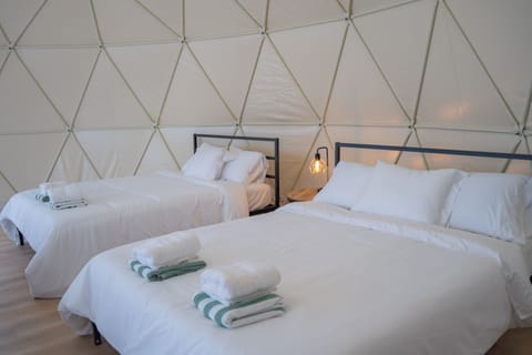 Premium Tent | Egyptian cotton sheets, premium bedding, Select Comfort beds, free WiFi