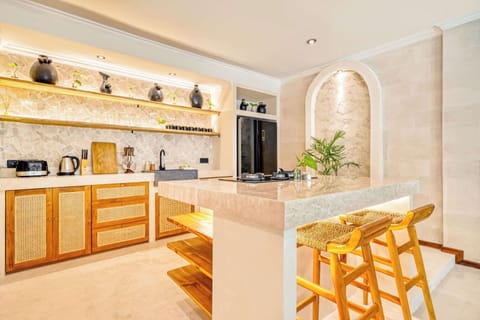 Modern chic kitchen with natural accents