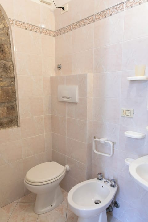 Basic Room | Bathroom | Shower, towels, soap, toilet paper