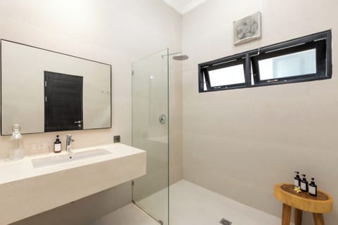 Deluxe Double Room | Bathroom | Shower, hair dryer, towels, soap