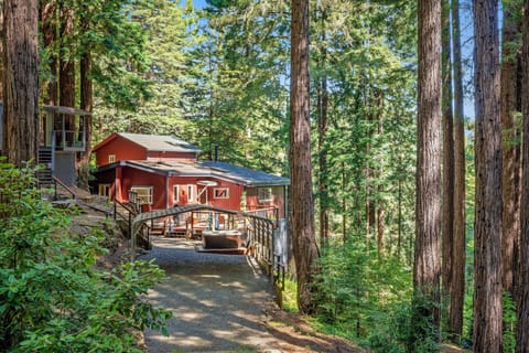 Welcome to Everwood! an updated Forest Hideaway