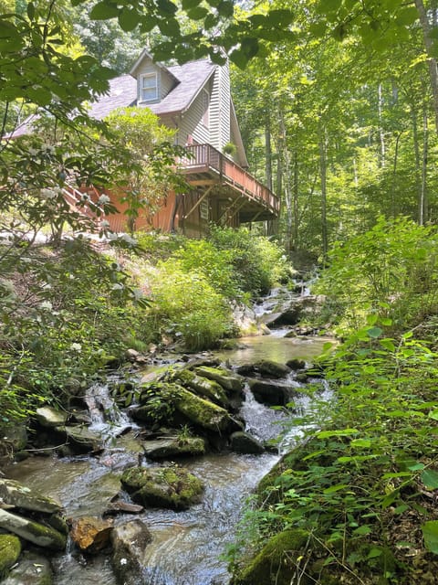 Creek view footbridge