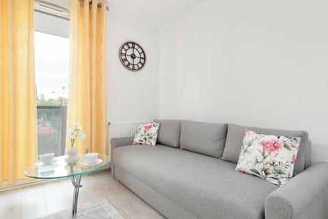 Bright living room with a cozy grey sofa and floral cushions.