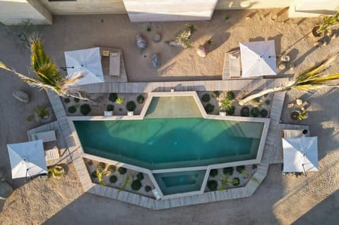 Pool and sunbed area