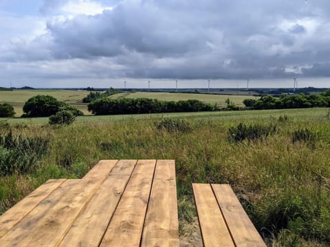 House | Property grounds