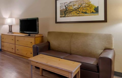 Deluxe Studio, 1 King Bed with Sofa bed, Non Smoking | Desk, blackout drapes, iron/ironing board, free WiFi