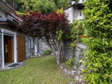 Leaf, Shrub, Spring, Garden, Twig, Stone Wall, Yard, Landscaping, Backyard, Walkway
