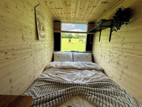 36669149-c12f-4887-b11e-fd2073f6bbc2