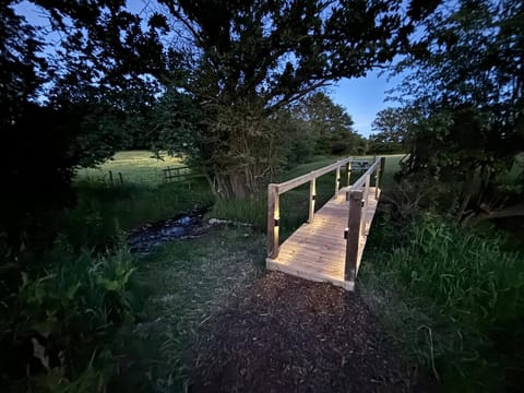 23d04c89-8a5c-4338-9e5f-03185932ee79