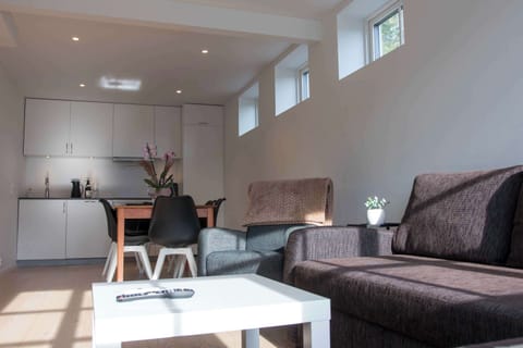 Cozy living space with natural light