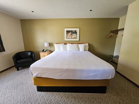 Standard Single Room, 1 King Bed | Individually decorated, individually furnished, desk, soundproofing