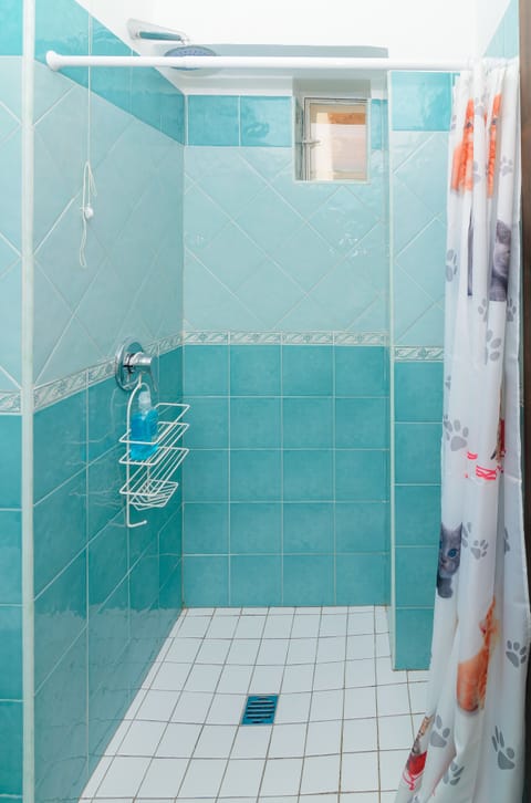 Double or Twin Room, Non Smoking, Garden View | Bathroom shower