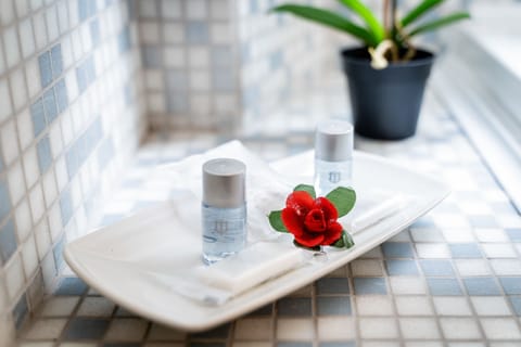 Double Room, Hot Tub | Bathroom amenities | Shower, free toiletries, hair dryer, slippers