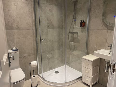 Premium Twin Room | Bathroom | Shower, free toiletries, hair dryer, towels