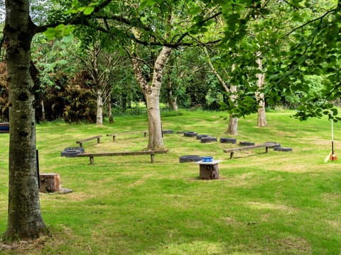Grass, Wood, Outdoor Bench, Picnic Table, Trunk, Bench, Groundcover, Park, Garden, Outdoor Table