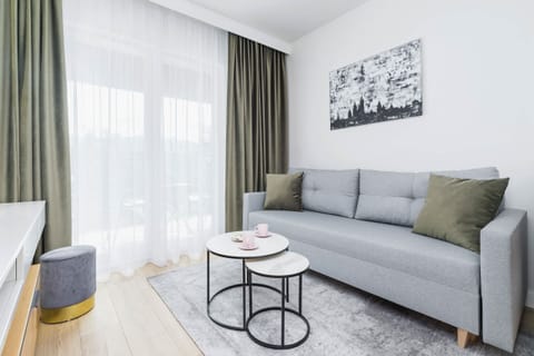 Comfortable, fold-out sofa in the living room. 