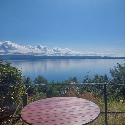 Front lawn outside Ardencraig House.