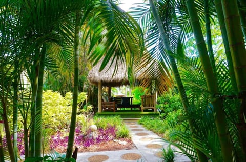 Garden walkway with plants leading to small hut structure