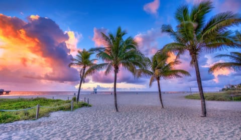 Beach