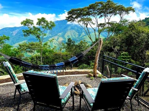 View from the terrace