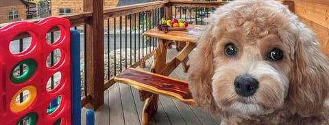 We love hosting furry friends! 🐾 Please help us keep Wooded Wonder pet-friendly by cleaning up after your pet, keeping them off furniture unless covered, and not leaving them alone in the cabin (unless in a crate). Thanks for being a pawesome guest!