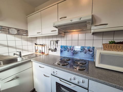 Kitchen, Kitchen Appliance, Major Appliance, Countertop, Kitchen Sink, Plumbing Fixture, Kitchen Stove, Sink, Tap, Stove