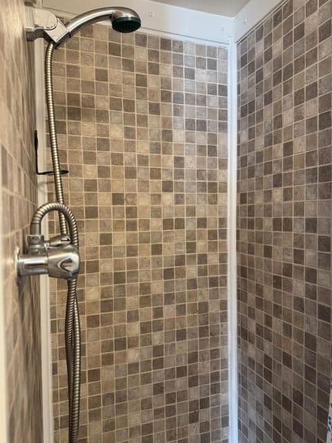 Premium Large Double Room 206 | Bathroom | Shower, towels, toilet paper