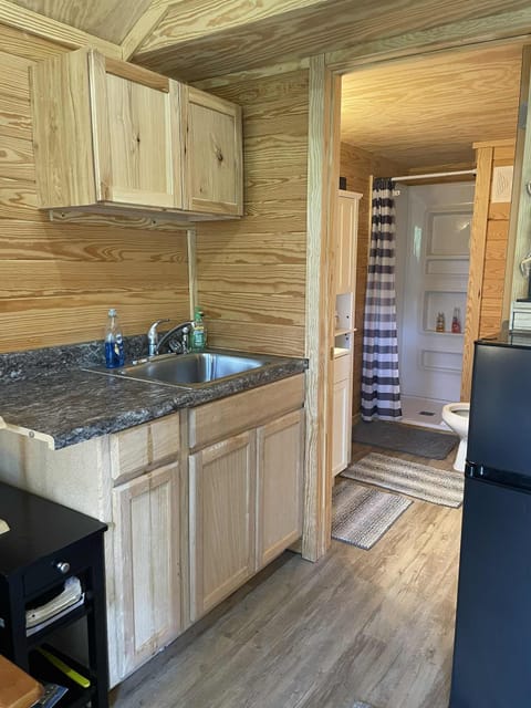 Bathroom with a shower/sink and the kitchenette area sink.