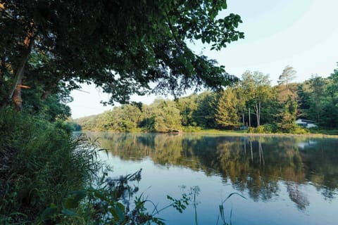 View Of The Creek From Back Yard