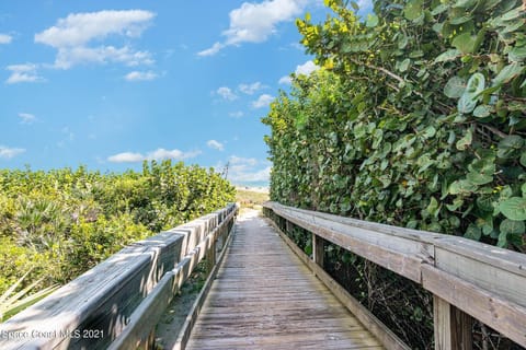 Welcome to the Beach!