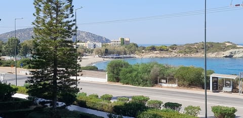 Beach/ocean view