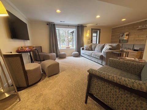 Cozy garden-level living room with TV and comfortable seating