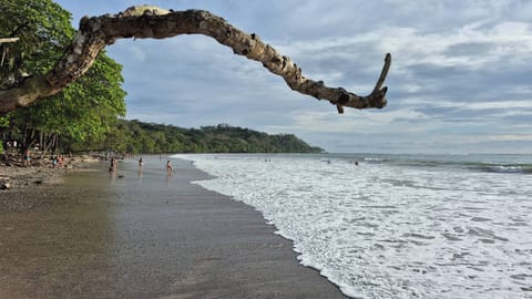 Villa, 2 Bedrooms, Accessible, Private Pool | Beach
