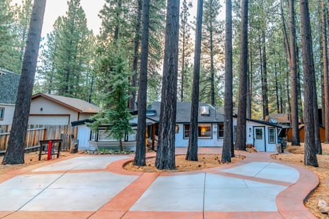 Scenic exterior view of the Hobbit House nestled among tall pines, showcasing the driveway and easy access to the property in a peaceful forest setting.