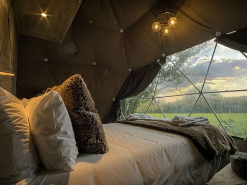 Bedroom, Bedding, Linens, Bed, Bed Sheet, Bed Frame, Tent, Camping, Pillow
