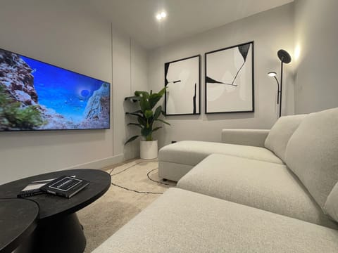 Living Area - Big Sofa-bed & large TV (3)