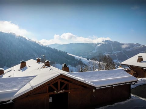 Winter view
