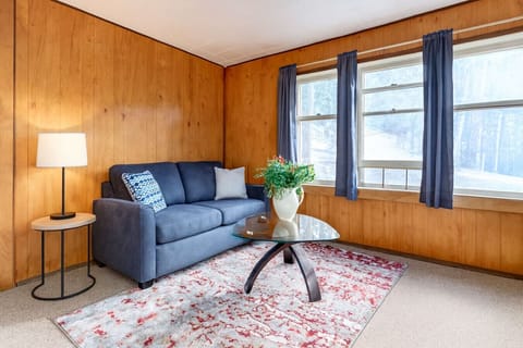 A cozy living area with sofa bed, perfect for relaxing and enjoying your favorite shows.