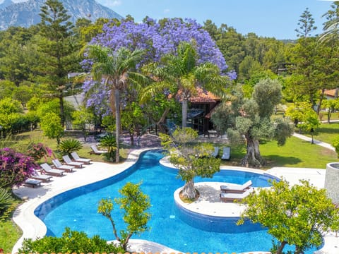 Outdoor pool, pool umbrellas, sun loungers