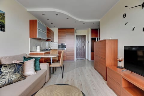 Apartment, Balcony | Living room | Flat-screen TV