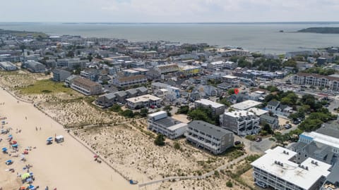 Located in the ocean block of Saulsbury Street in Dewey Beach and just steps to the Atlantic Ocean!