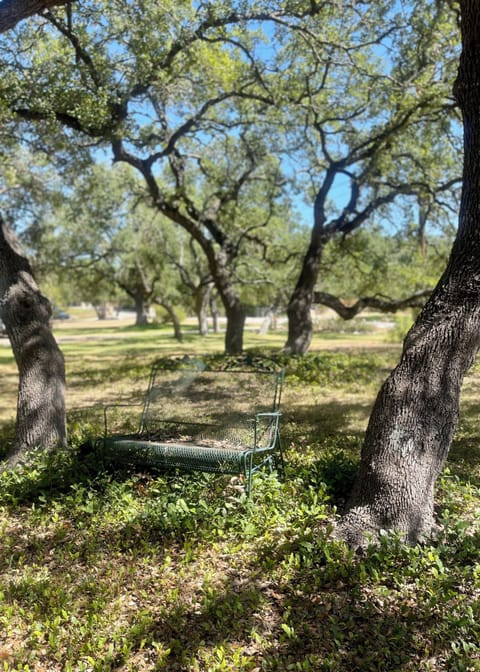 Find your quiet moment under the trees
